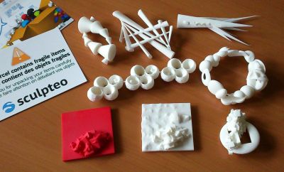 Eight of the twelve models 3D printed by Sculpteo