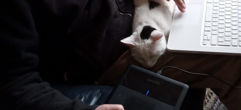 The Image shows a designer working digitally on a laptop and pad with a white and black cat sprawled across his lap too, both relaxed and comfortable in each others company. Slow design!